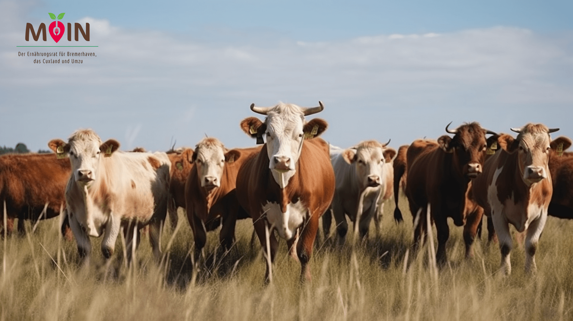 Angebote für Kommunen